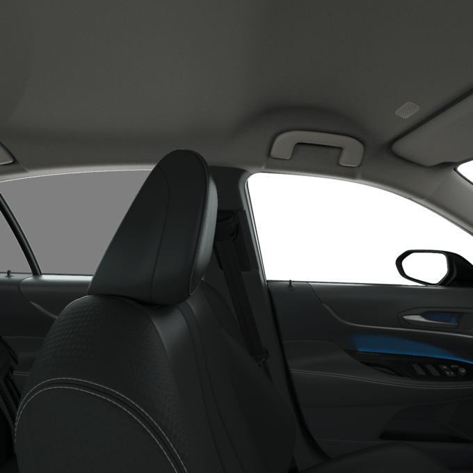 Mirai - Executive - Limousine