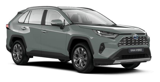 RAV4 - Platinum - SUV 5 Doors 