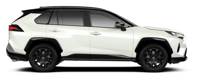 RAV4 - Style - Športni terenec