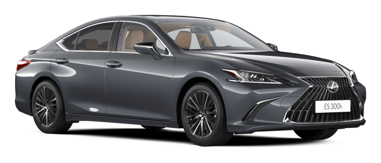 ES Executive 4D - Sedan
