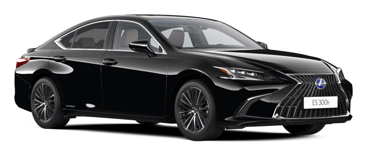 ES Executive Plus 4D - Sedan