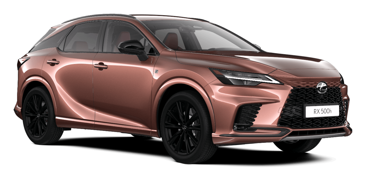 RX F SPORT+ 5 durelių miesto visureigis