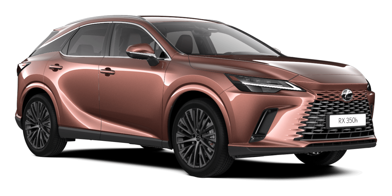 RX Executive 5 durelių miesto visureigis