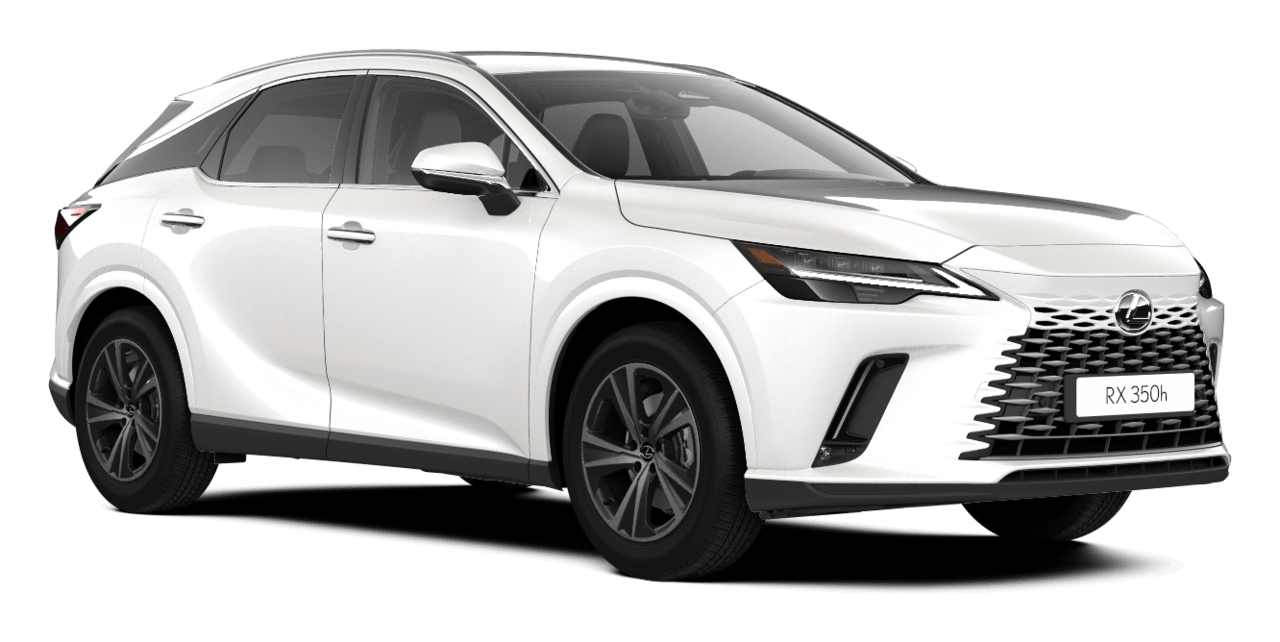 RX Business 5-drzwiowy SUV