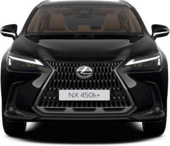 NX - Executive Line - SUV
