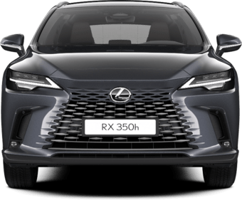 RX - Hybrid Luxury - SUV 5 Qapılı