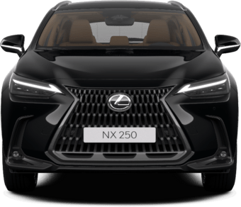 NX - Luxury 1 - 5 qapılı SUV