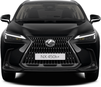 NX - Business Line - SUV