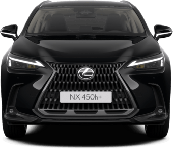 NX - Executive - SUV