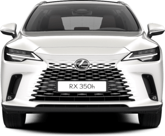RX - Hybrid Executive - 5 კარიანი ქროსოვერი