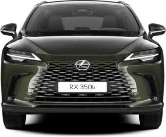 RX - PRESTIGE PLUS - SUV