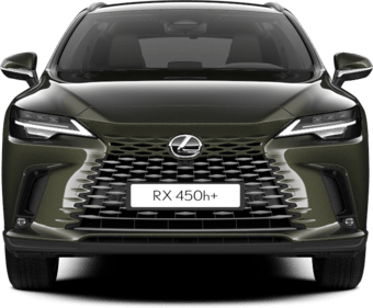RX - LUXURY - SUV