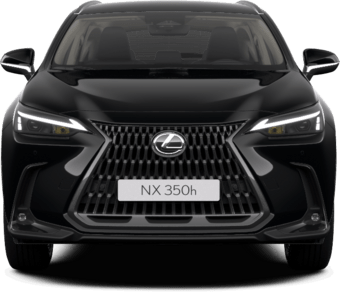 NX - BUSINESS PLUS - SUV