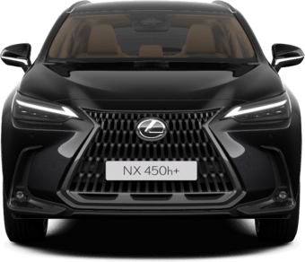 NX - Luxury ML - 5d