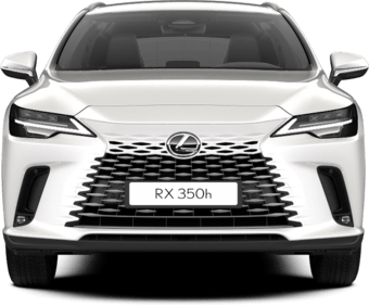 RX - Business - 5-drzwiowy SUV