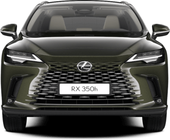 RX - Executive - SUV