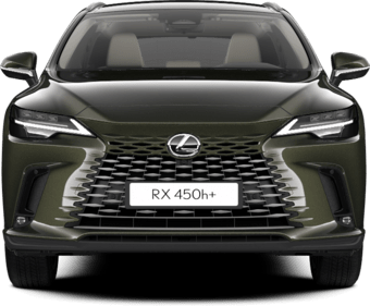 RX - Luxury - SUV 5D MWB