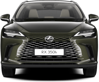 RX - PRESTIGE TOP - SUV