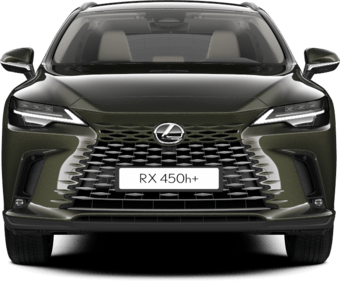 RX - PRESTIGE TOP - SUV