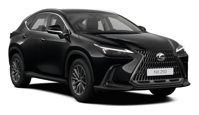 NX - Business - 5 qapılı SUV