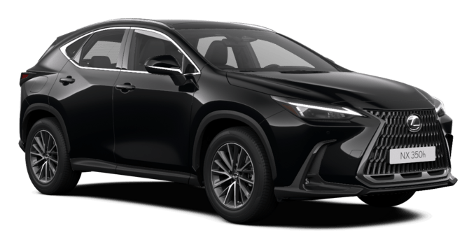 NX - Executive H - 5 qapılı SUV