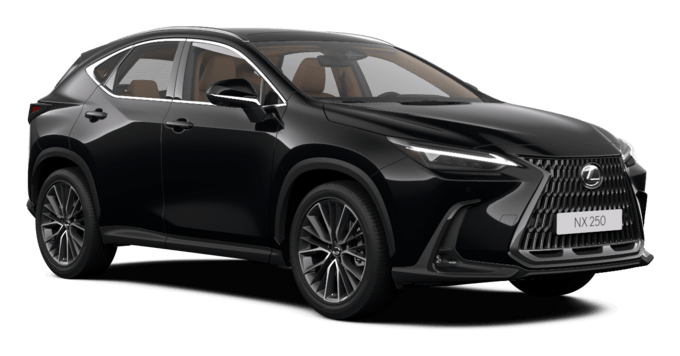 NX - Luxury 1 - 5 qapılı SUV