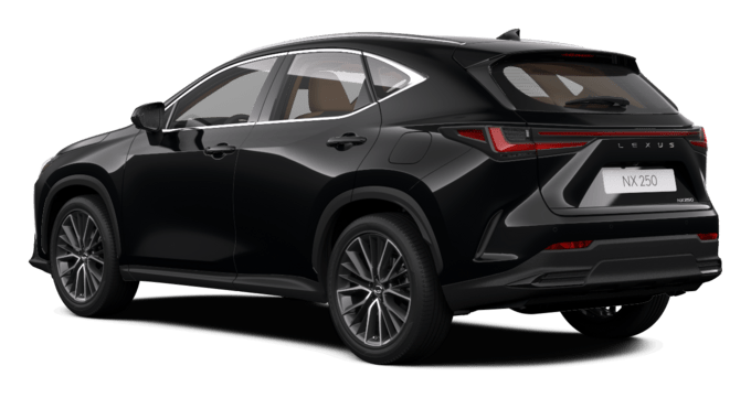 NX - Luxury 1 - 5 qapılı SUV