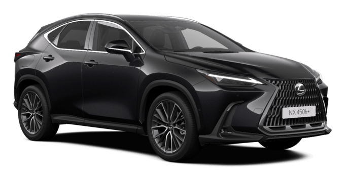 NX - EXCELLENCE - SUV