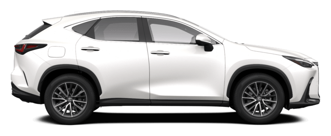 NX - Executive - SUV