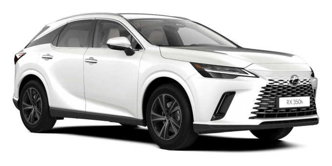 RX - Comfort - SUV 5-ust