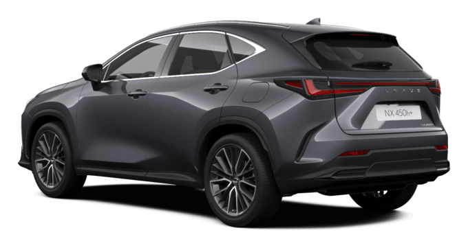 NX - Executive - SUV