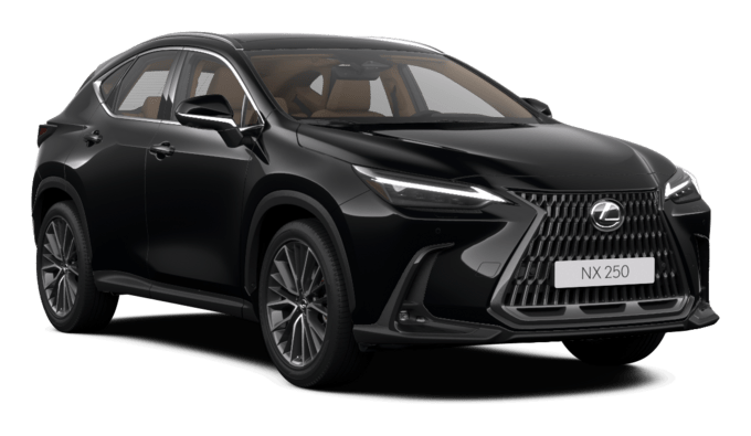 NX - Luxury - 5 კარიანი ქროსოვერი