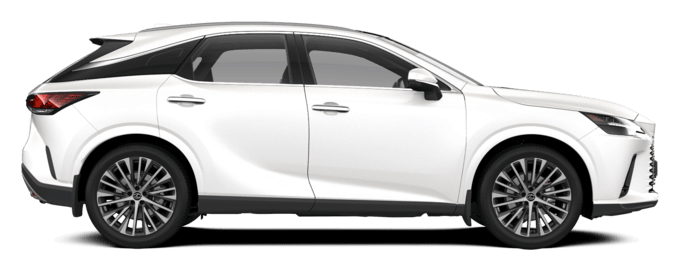 RX - Hybrid Executive - 5 კარიანი ქროსოვერი