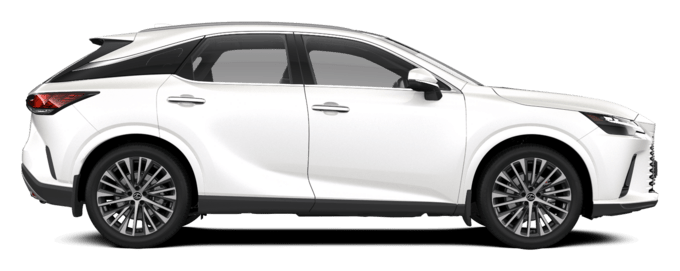 RX - Hybrid Comfort - 5 კარიანი ქროსოვერი