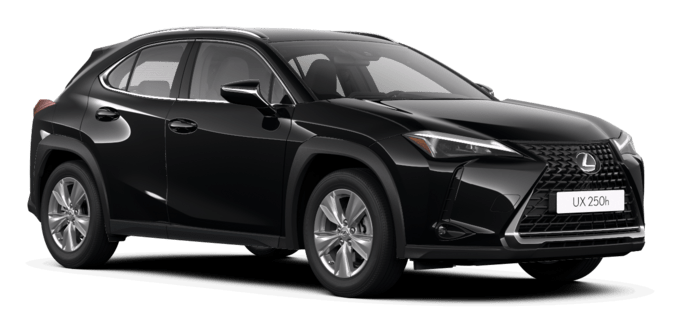 UX - Dynamic - 5D - Wagon