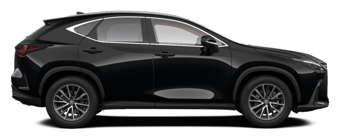 NX - EXECUTIVE - SUV
