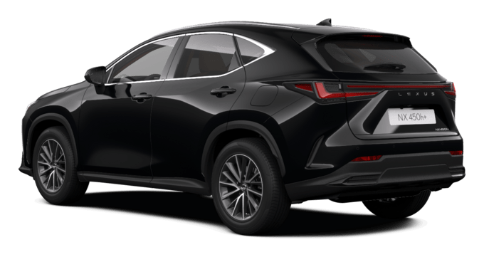 NX - EXECUTIVE - SUV