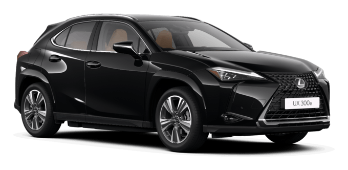 UX 250h - Luxury - 5 dyra