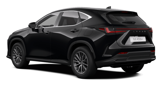 NX - Executive Plug-in - 5 dyra