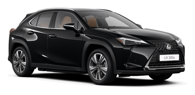 UX 250h - Premium - 5 dyra