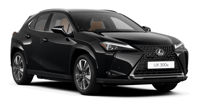UX 250h - Luxury - 5 dyra