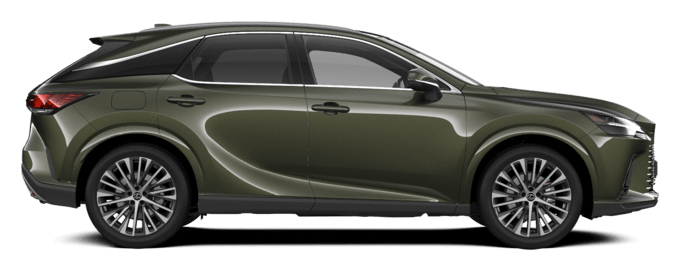 RX - Executive Line - SUV