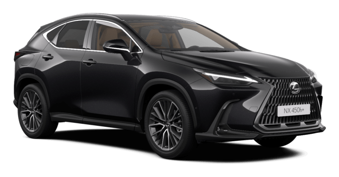 NX - Luxury ML - 5d