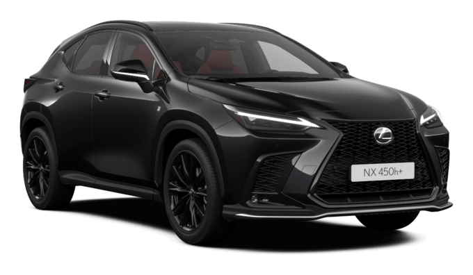 NX - F SPORT S Sun - 5d
