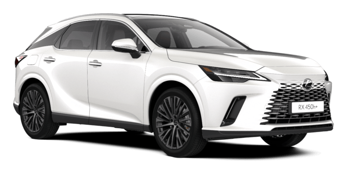 RX - Executive Plus Pano - SUV 5d