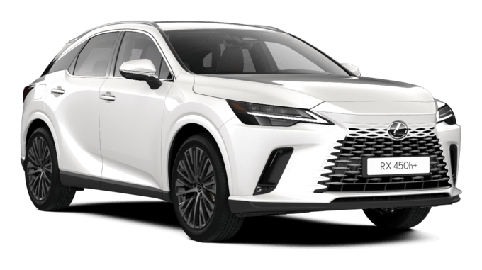 RX - Executive - SUV 5d