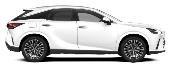 RX - Executive - SUV 5d