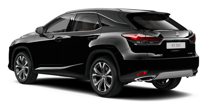 RX - Business Edition + - 5-drzwiowy SUV