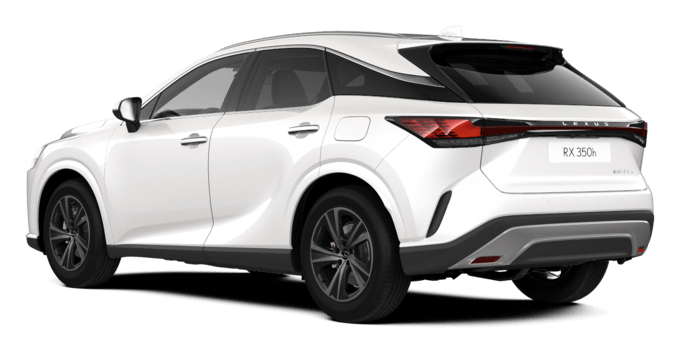 RX - Business - 5-drzwiowy SUV