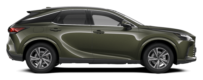 RX - Comfort - SUV